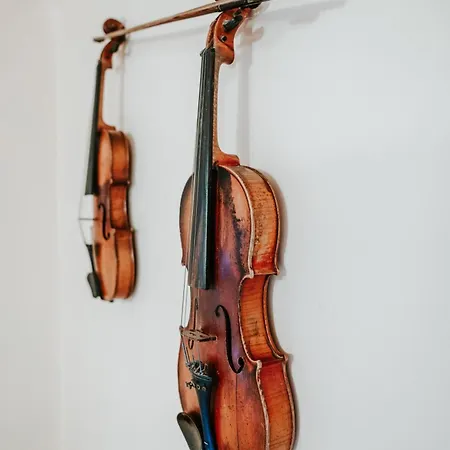 Cisówka Gościnne * Piwniczna-Zdroj